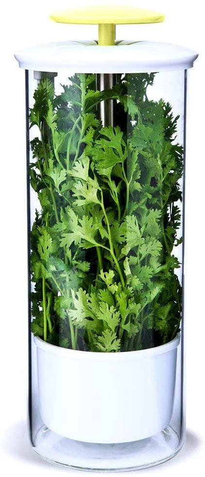 NOVART XXL Premium Glass Herb Keeper