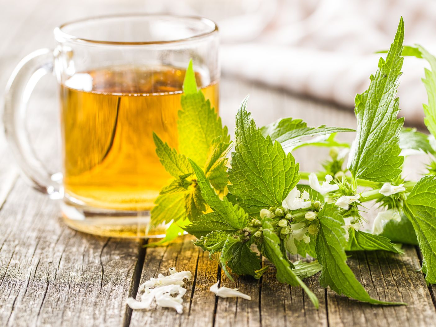 A clear mug of tea with fresh nettle