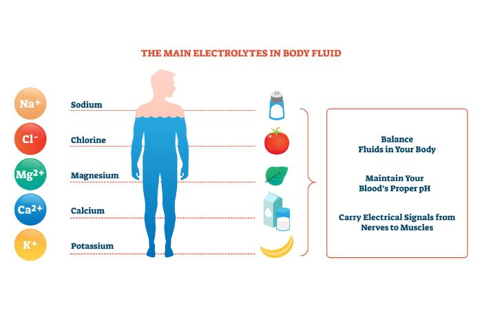 Electrolyte diagram of names/sources of minerals