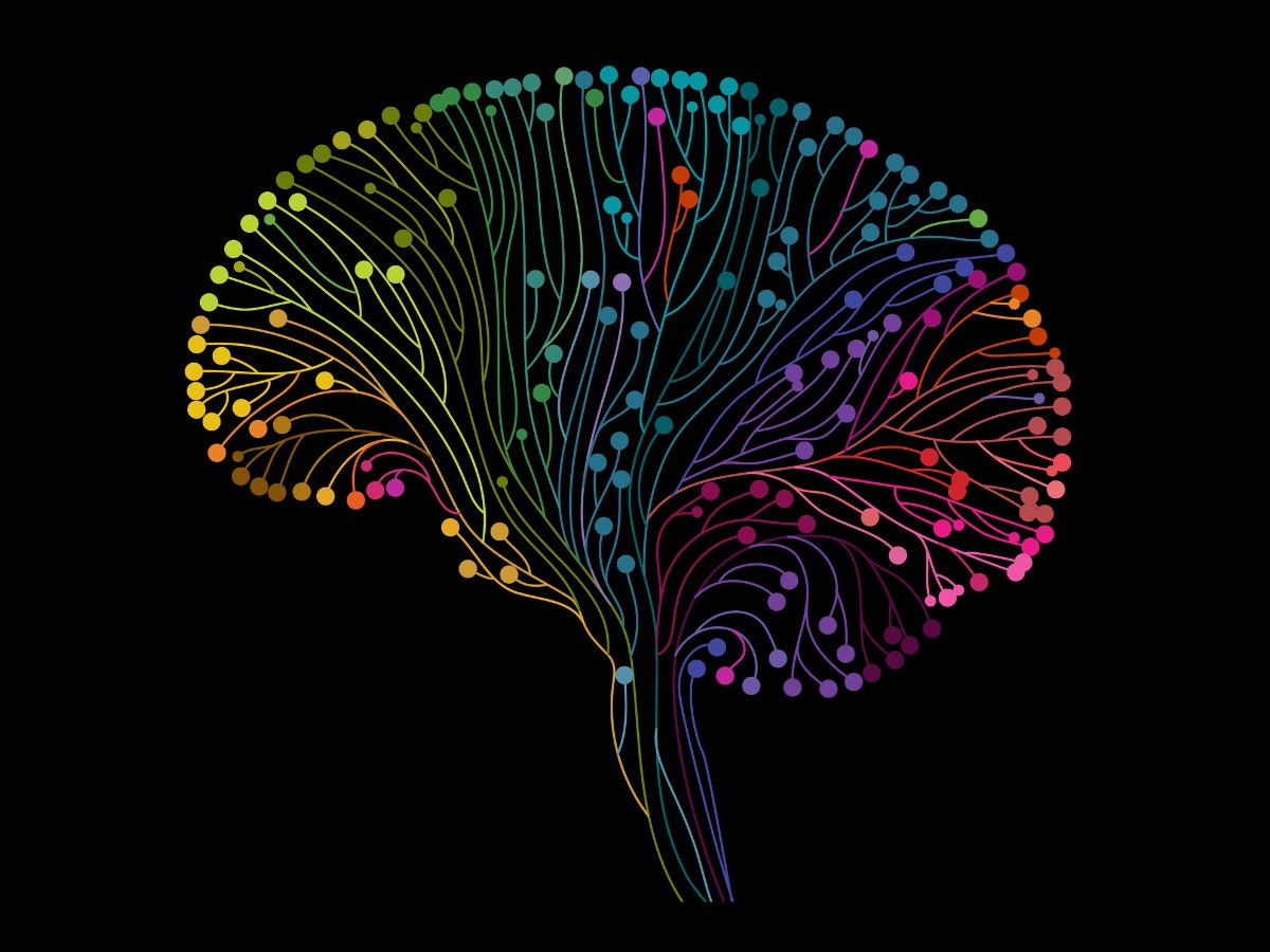 Illustration of neural pathways in brain