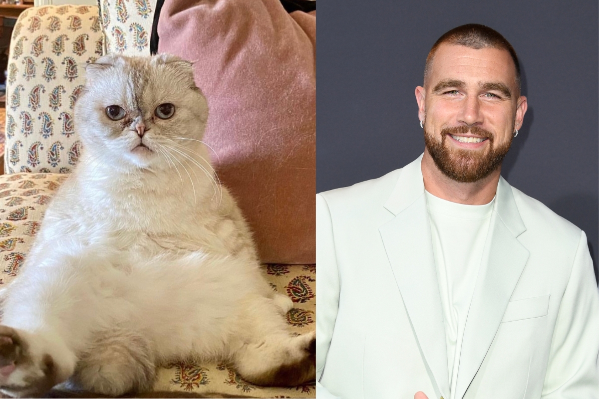 taylor-swifts-cat-has-a-higher-net-worth-than-her-boyfriend-travis-kelce