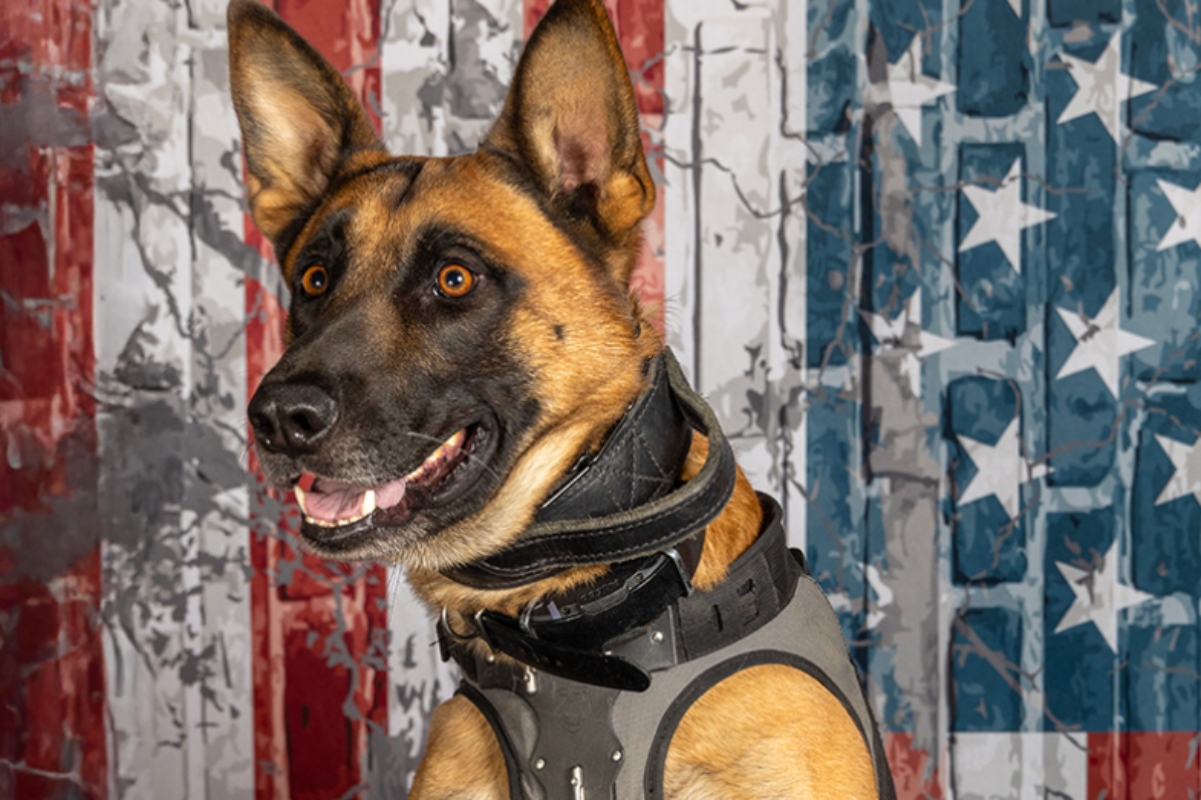 13-year-old-mother-charged-connection-shooting-death-police-k9