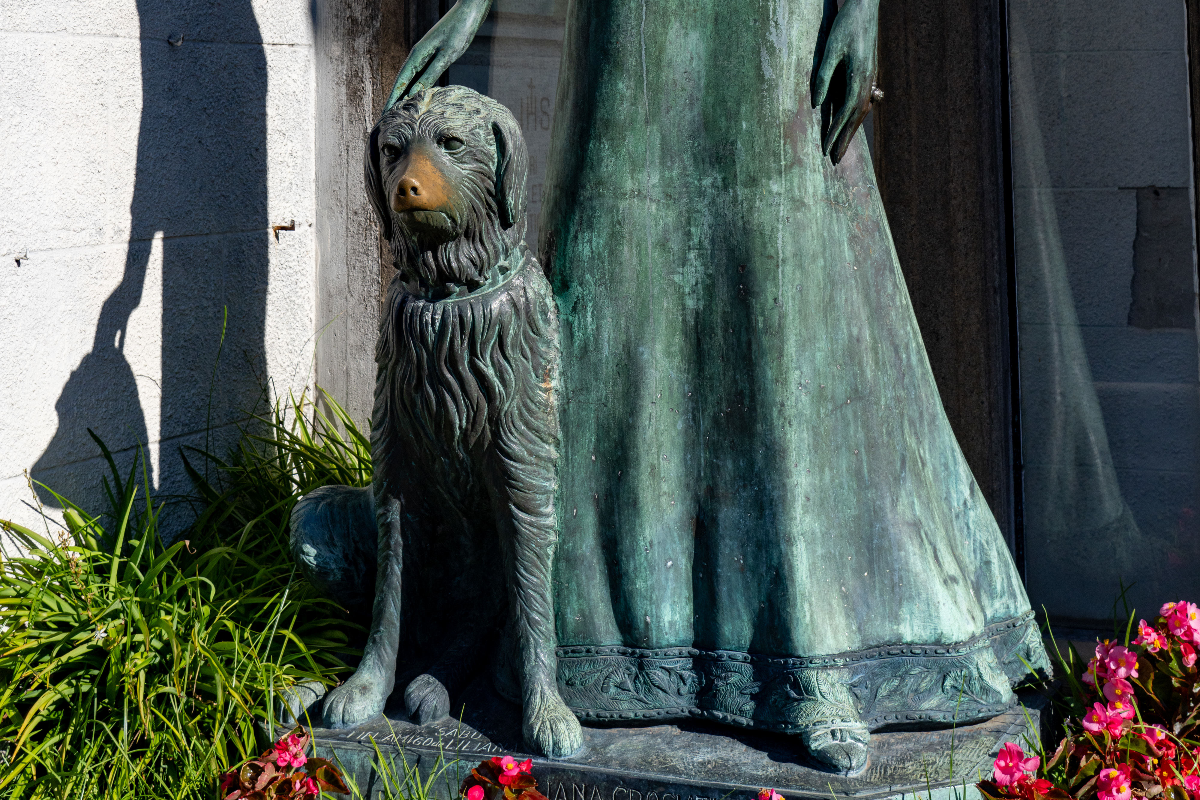 pet-cemetery-owner-tells-families-come-and-get-your-pets-claims-site-is-canceled